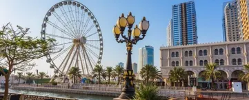 Assignment Help Ajman - Ajman University, Gulf Medical University