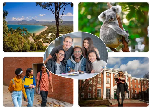 assignment help queensland