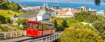 Assignment Help Wellington - Victoria University, Massey, Whitireia